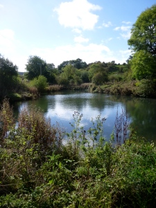 Wharram Percy pond